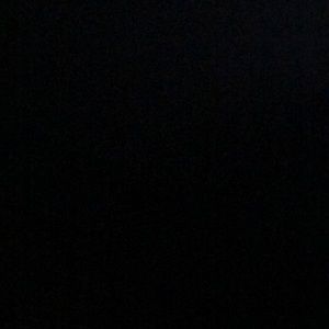 Meet your Posher, Roy